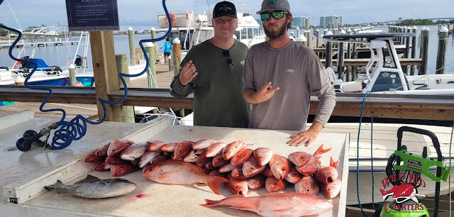 Wild Red Charters