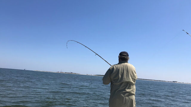 Finatics Gulf Shores Fishing Charters
