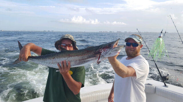 Orange Beach Fishing Charters