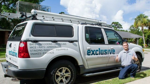 Exclusive Wildlife & Pest Control