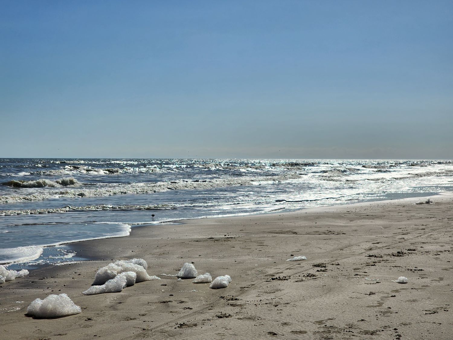 What’s That Foamy Brown Stuff on the Beach? Everything Beach RE/MAX