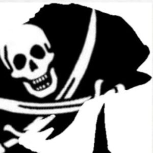 Group logo of Black Flag Company