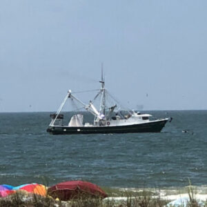 Group logo of Engel & Völkers at The Wharf