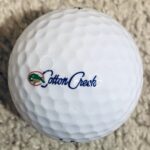 Group logo of Craft Farms Golf Club- Cotton Creek